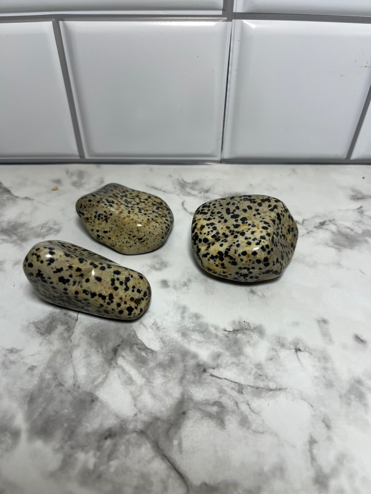 Dalmatian Jasper